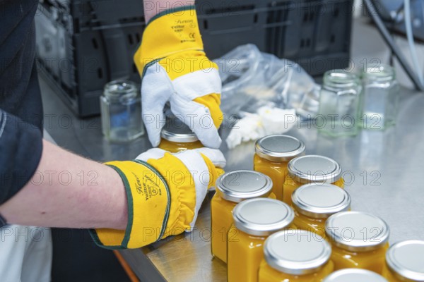 Filling orange liquid into jars, several filled jars on site, jam production, Haselstaller Hof,