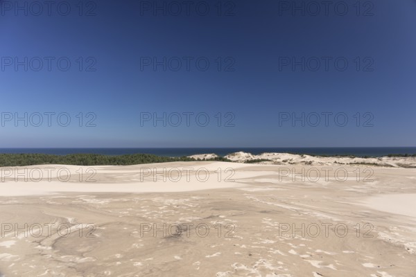 Lacka Dune on a sunny day with a blue sky in the Slowinski National Park, northern Poland on the