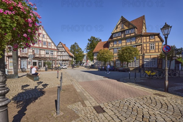 Lantern, flower decoration, ivy geranium (Pelargonium Peltatum), historic half-timbered houses,