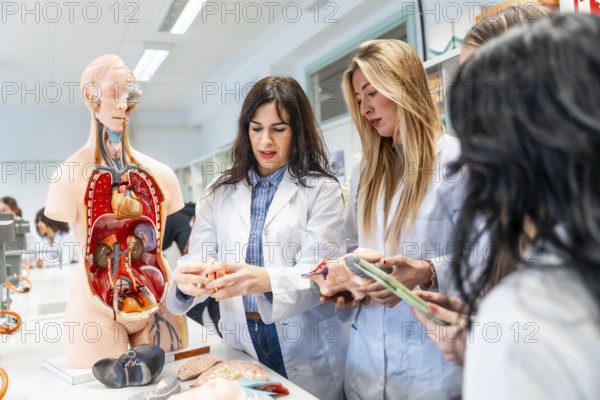 Medical students examining anatomical model and organ replicas during anatomy class in university