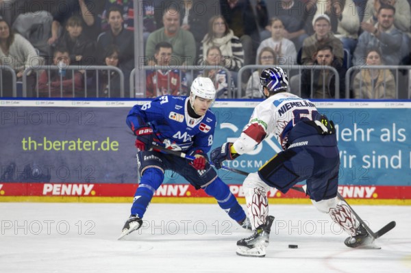 DEL, German Ice Hockey League season 2024/25, Matchday 52: Adler Mannheim vs Eisbären