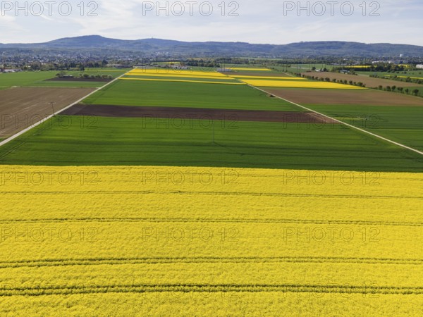 The Taunus ridge rises behind blossoming rape fields. (Aerial view with a drone), Frankfurt am