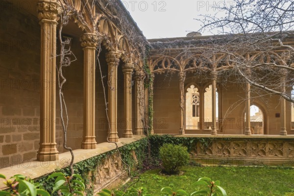Ivy growing on columns in the gothic style gallery of the palace of the kings of navarre of olite