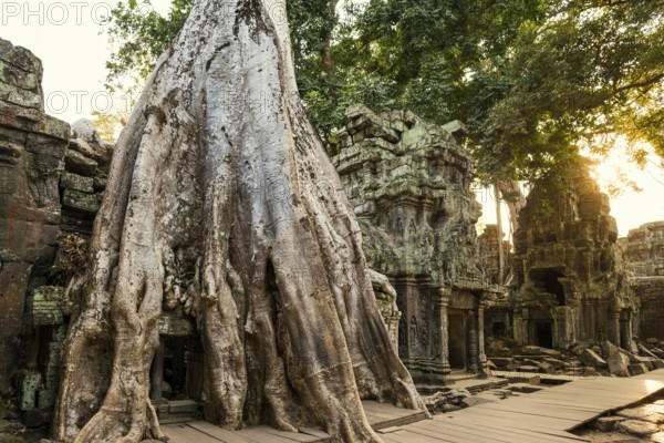 Ta Prohm, Angkor Wat, Angkor, UNESCO World Heritage Site, Siem Reap, Cambodia, Indochina, Southeast