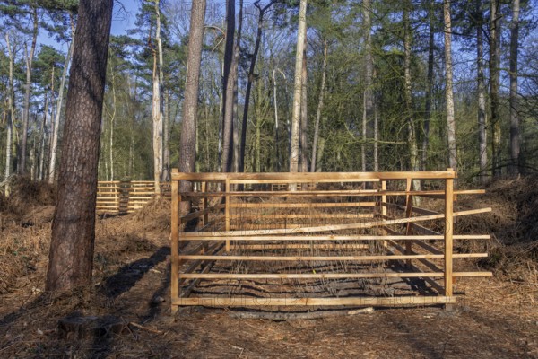 Wooden lattice called reeblock, roe deer block, fence for game browsing protection of young trees