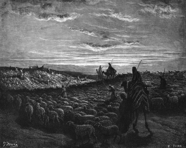 Bible, Abraham goes to Canaan, 1st book of Moses, herd of sheep, camels, rider, shepherd, guardian,