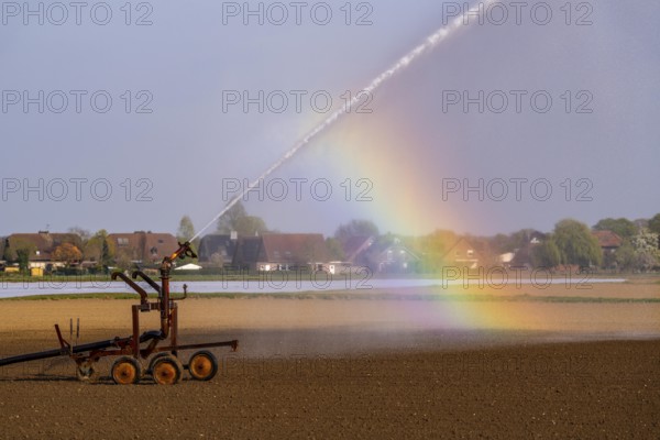 Artificial irrigation of a field, freshly sown, in April, with a sprinkler system, long dry spell