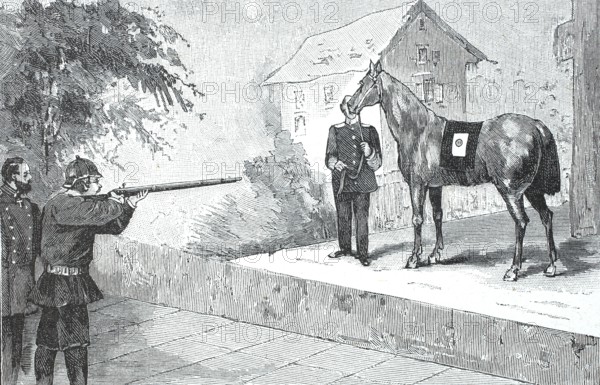 Test of the Dowe bulletproof armour, shooting attempt at a horse with a bulletproof vest, Heinrich
