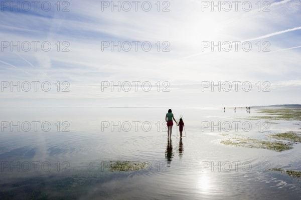 Woman with child walking through the mudflats, Wyk, Föhr, North Frisia, Schleswig-Holstein,