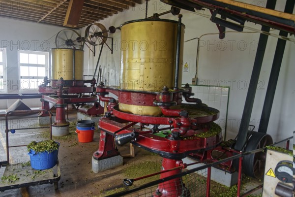 Several yellow-red machines for tea processing in a production room, tea cultivation and production