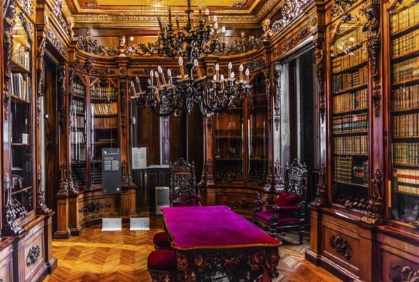 Library, Palazzo Rvoltella, palace and modern art gallery, a total work of art, Trieste, harbour