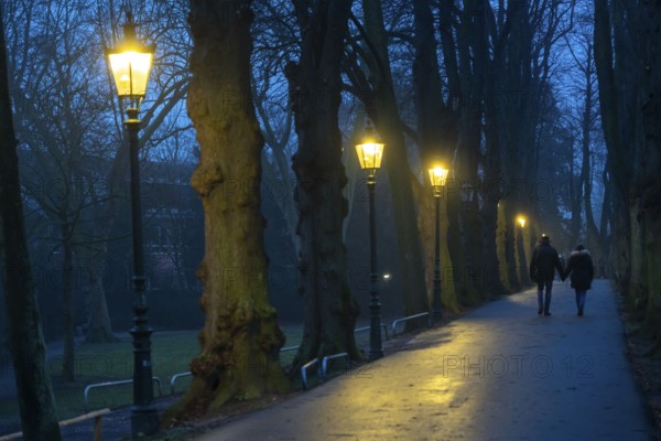 The Burgallee in Düsseldorf-Kaiserswerth, tree-lined avenue, at the old imperial palace, on the