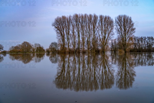 Bislicher Insel nature reserve, floodplain landscape on the Rhine, near Xanten, floods, flooded