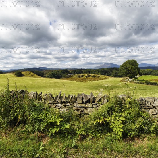 View over typical stone wall to hilly landscape near Betws-y-Coed in Merionethshire, North Wales,