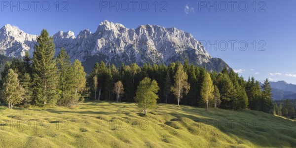 Hummock meadows between Mittenwald and Krün, Werdenfelser Land, with the Karwendel mountains