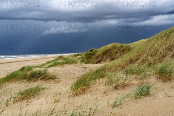 Dune landscape, beach, dark storm clouds, autumn at the North Sea in North Holland, between the