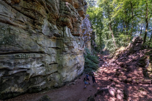 The Devil's Gorge, narrow, accessible gorge of sandstone rocks, with steep rocky gorges, near