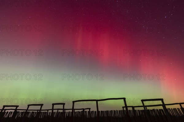 Northern lights (aurora borealis) over the ring sanctuary of Pömmelte, prehistoric circular ditch