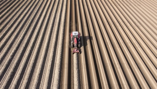 An aerial photo shows a tractor in a large asparagus field. Preparations for the asparagus season.