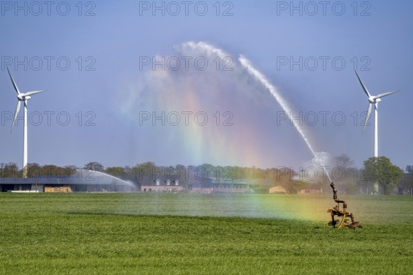 Artificial irrigation of a cereal field in April, with a sprinkler system, long dry spell in spring
