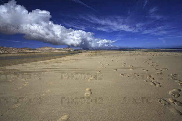 Sandy beach beach Playa Risco del Paso, Playa de Sotavento with footprints, blue sky and clouds,