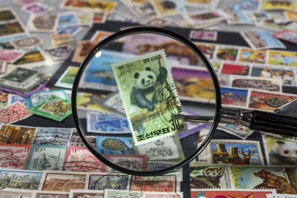 Stamp collection, collecting, postage stamps, postage stamps from different countries, magnifying