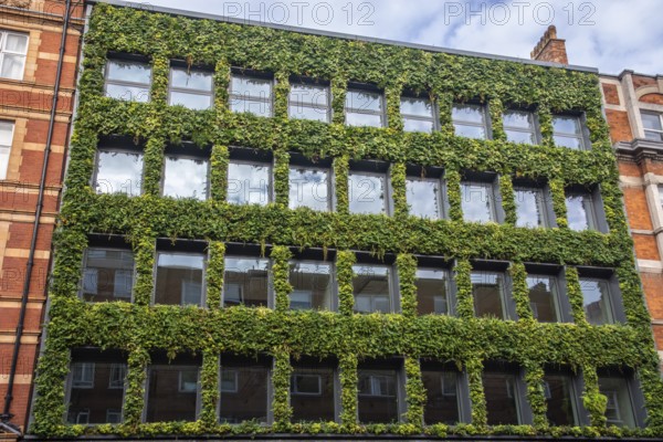 Green facade in Bloomsbury, Camden, West End, London, England, UK, Great Britain, United Kingdom,
