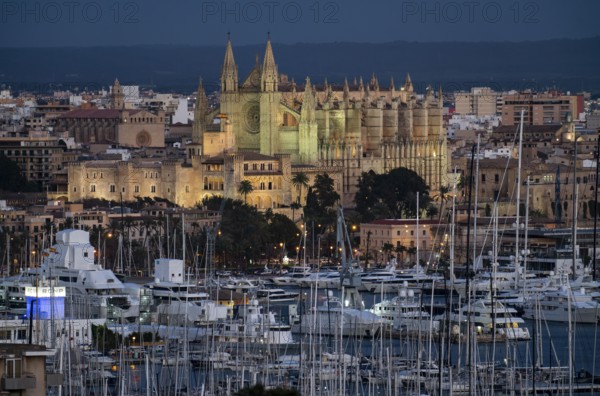 Panorama of Palma de Majorca, Bay of Palma, with the marina and the Cathedral of St Mary, Balearic