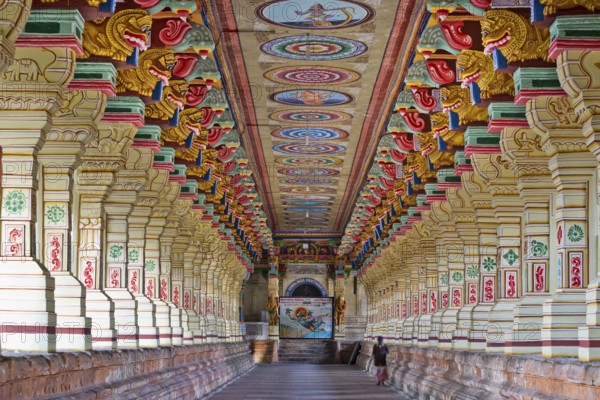 Colourfully painted pillars, temple hall, Ramanathaswami Temple, Rameswaram or Rameshwaram, Pamban