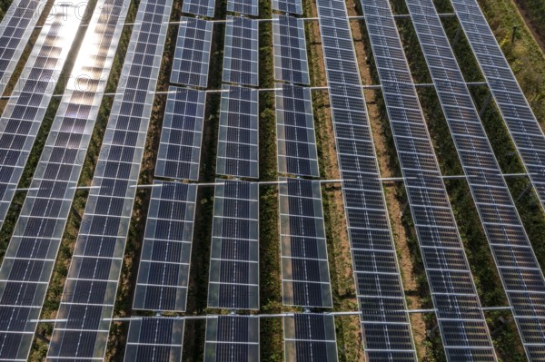 Agri-photovoltaic test plant, an apple orchard with two different systems of PV modules was roofed