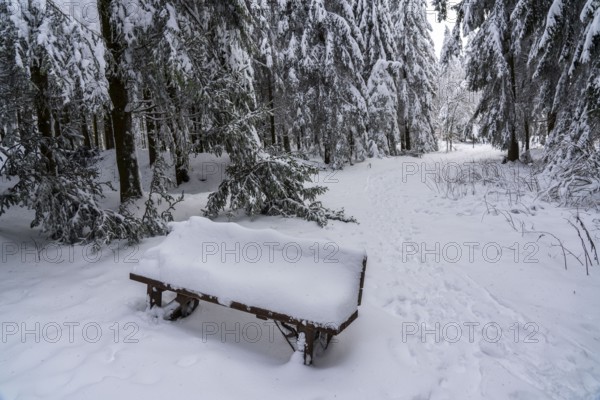 Winter in Sauerland, Hochsauerlandkreis, at Kahler Asten, near Winterberg, few tourists, visitors,