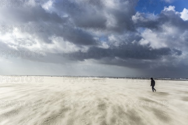 North Sea, Spiekeroog Island, autumn, strong wind drives the sand over the mudflats at low tide,