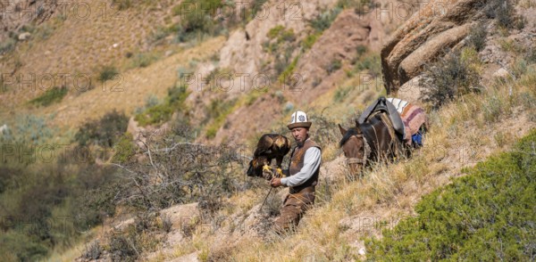 Traditional Kyrgyz eagle hunter with eagle in the mountains, hunting on horseback, near Kysyl-Suu,
