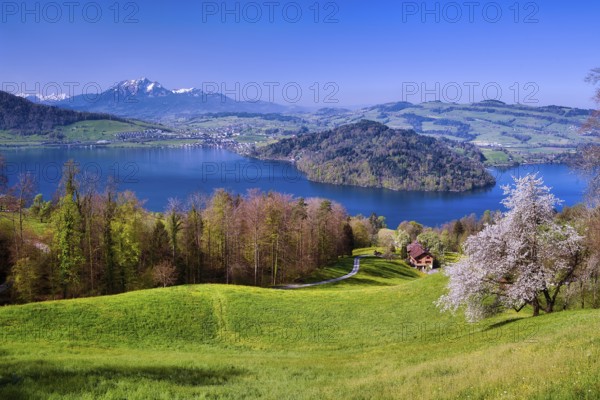 View of Lake Zug with Chiemen peninsula, behind it Mount Pilatus, Cantons Zug, Schwyz, Lucerne,