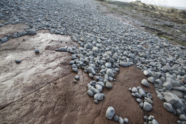 Attrition and abrasion on the wave cut platform as pebbles are rounded and transported, Watchet,