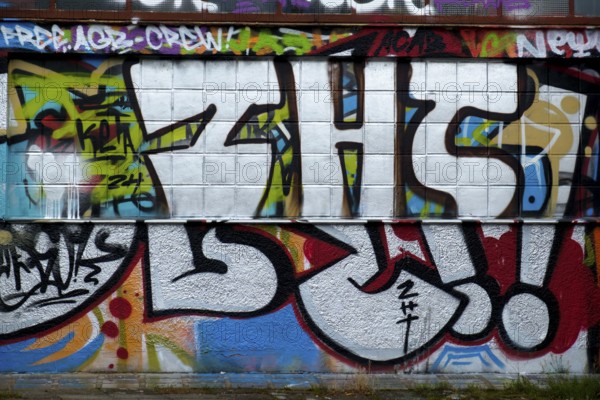 Graffiti wall in white and grey with various colourful details, Landau, Rhineland-Palatinate,