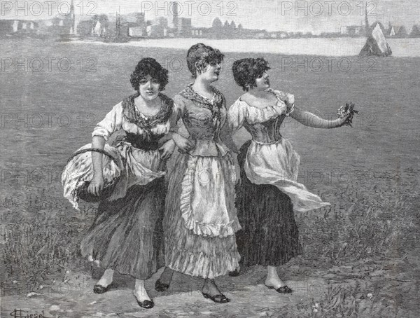 Three young woman in a meadow collecting clover, 1890, Germany, digital reproduction of an original