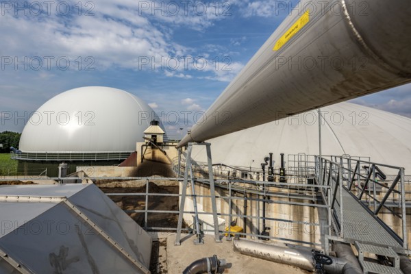 Biogas plant, gas storage, with dome, use of solid manure as energy source, gas pipelines, on a