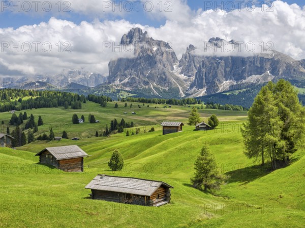 Spring on the Seiser Alm, alpine huts with Plattkofel and Langkofel, clouds, Dolomites, South Tyrol
