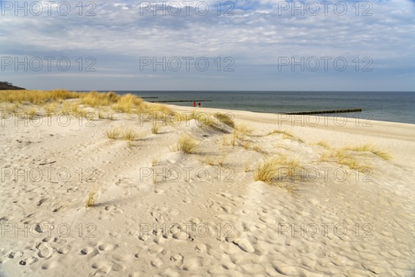 Dunes on the Baltic Sea beach in Graal-Müritz, Mecklenburg-Vorpommern, Germany, Europe