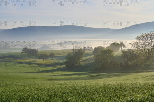 Peaceful landscape with green hills and trees in the morning mist, Mönchberg, Miltenberg, Spessart,