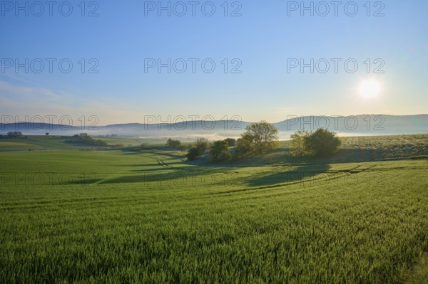 A peaceful landscape with green fields, hills and trees at sunrise with light fog, Mönchberg,