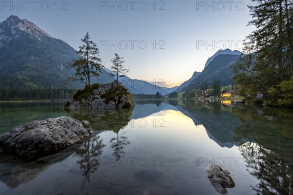 Rocky island with two trees in the lake, reflection in Hintersee, at sunset, Berchtesgaden National