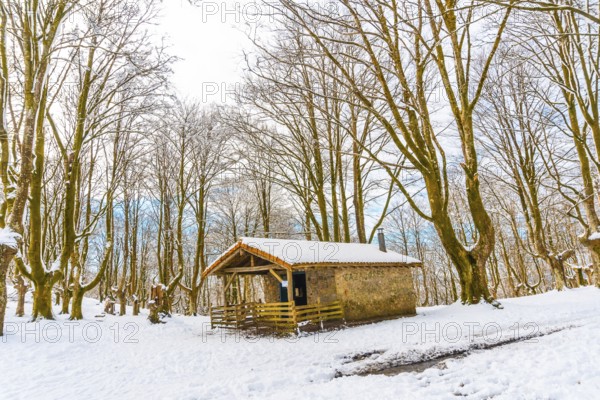 The refuge next to trees in the snow-covered Oianleku Natural Park in the town of Oiartzun, next to