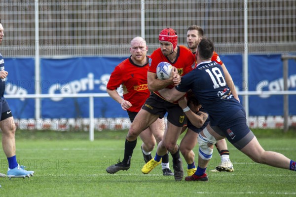 Rugby: Germany against MKS Pogon Awenta Siedlce, Poland in Heidelberg (test match of the German