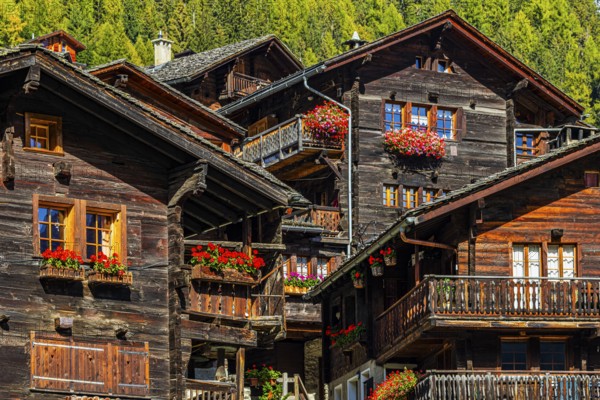 Old wooden houses decorated with flowers in the historic village centre, Grimentz, Val d'Anniviers,