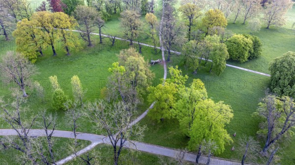 Rosenstein Park in spring with old trees and paths through the landscaped park. Aerial view.