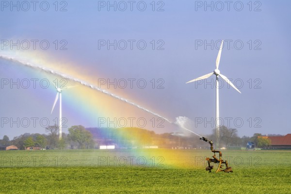 Artificial irrigation of a cereal field in April, with a sprinkler system, long dry spell in spring
