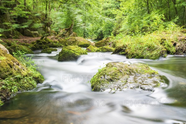 River Trieb in the Triebtal valley between the Pöhl dam and its confluence with the Weiße Elster,