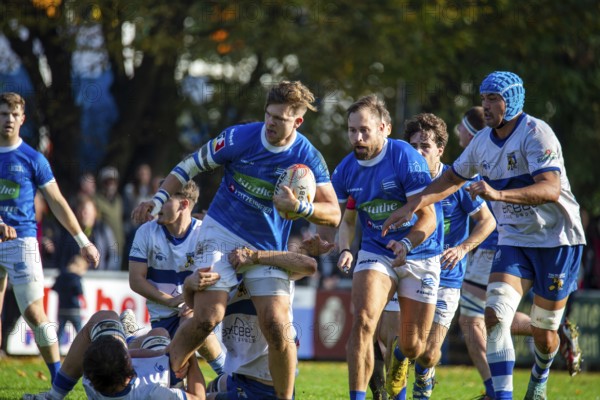 26.10.2024, Rugby 1st Bundesliga South/West, Season 2024/25, Matchday 6: SC Neuenheim vs TSV
